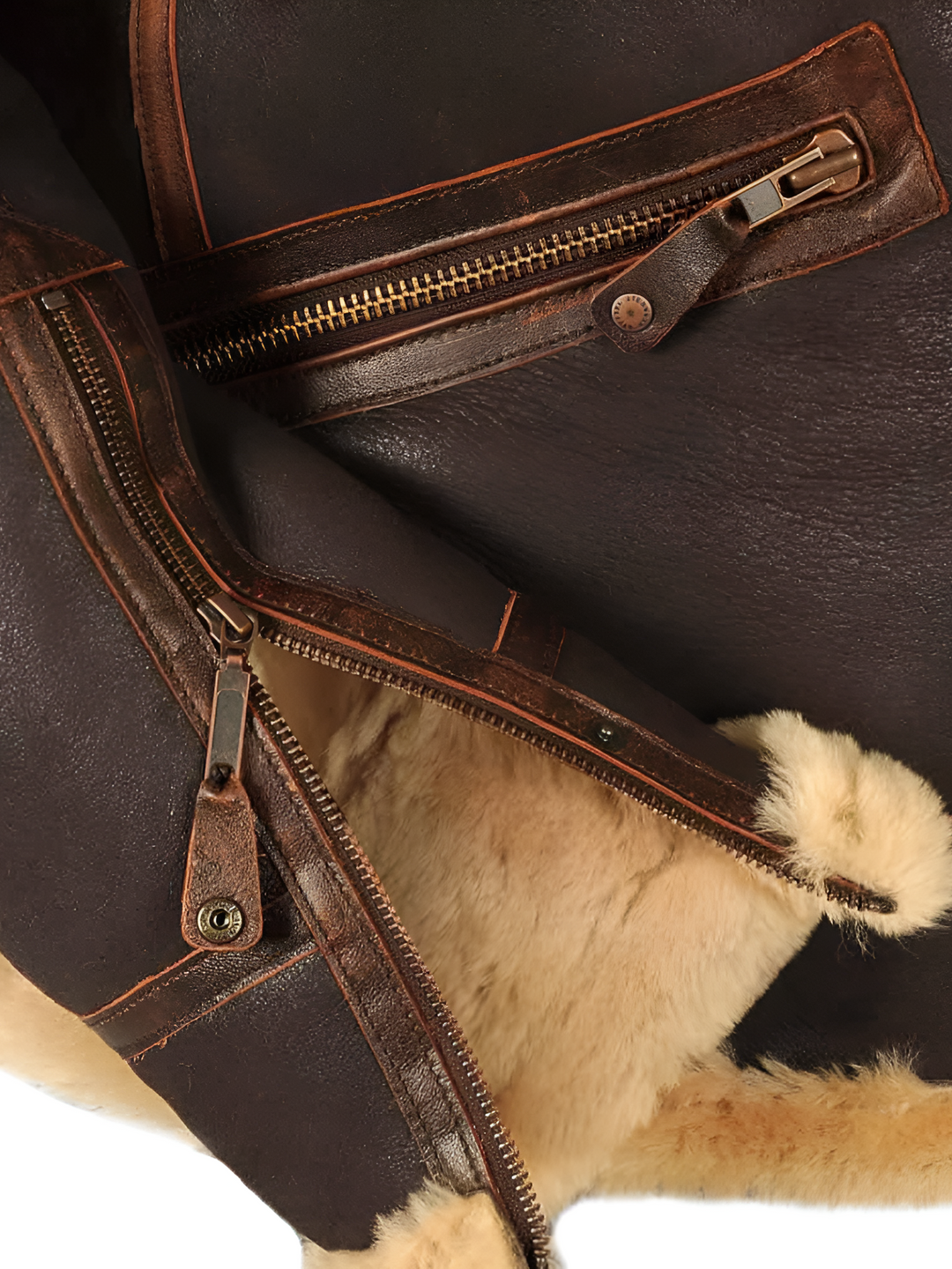 ParisPeak™ | Veste Aviateur Intemporelle